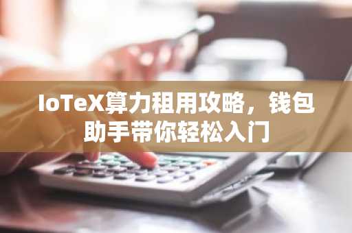IoTeX算力租用攻略，钱包助手带你轻松入门