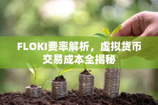 FLOKI费率解析，虚拟货币交易成本全揭秘