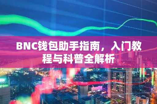 BNC钱包助手指南，入门教程与科普全解析