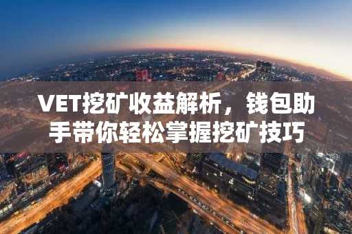 VET挖矿收益解析，钱包助手带你轻松掌握挖矿技巧