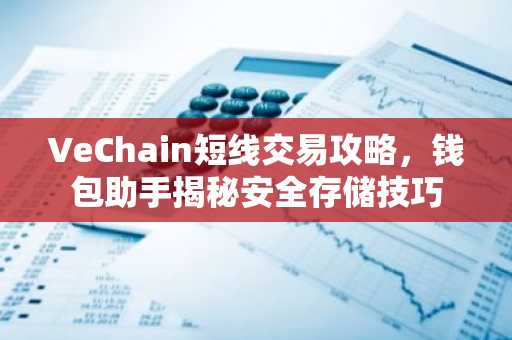 VeChain短线交易攻略，钱包助手揭秘安全存储技巧