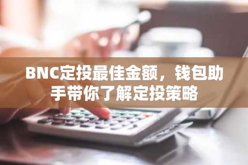 BNC定投最佳金额，钱包助手带你了解定投策略