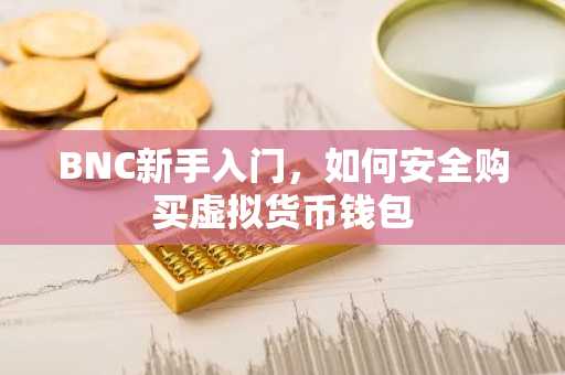 BNC新手入门，如何安全购买虚拟货币钱包