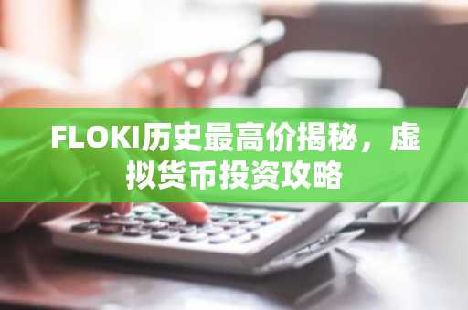 FLOKI历史最高价揭秘，虚拟货币投资攻略