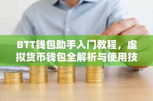BTT钱包助手入门教程，虚拟货币钱包全解析与使用技巧