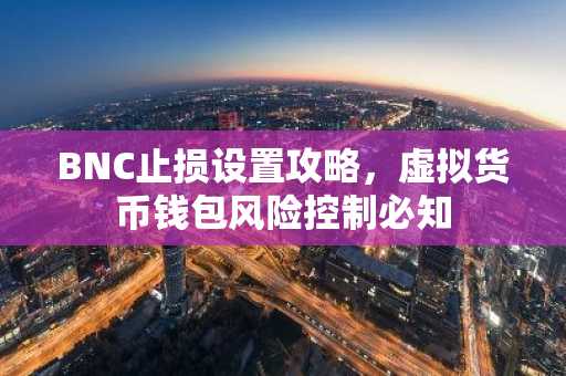 BNC止损设置攻略，虚拟货币钱包风险控制必知