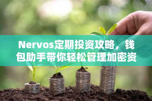 Nervos定期投资攻略，钱包助手带你轻松管理加密资产