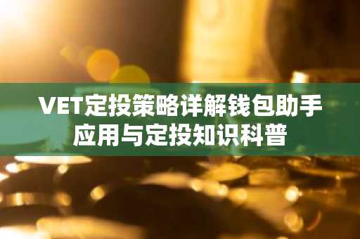 VET定投策略详解钱包助手应用与定投知识科普
