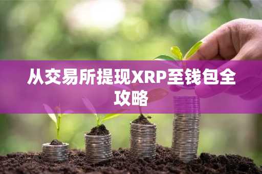 从交易所提现XRP至钱包全攻略