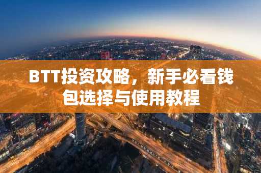 BTT投资攻略，新手必看钱包选择与使用教程