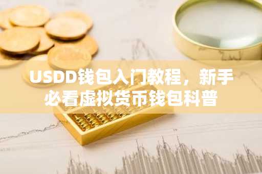 USDD钱包入门教程，新手必看虚拟货币钱包科普
