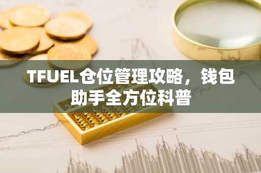 TFUEL仓位管理攻略，钱包助手全方位科普