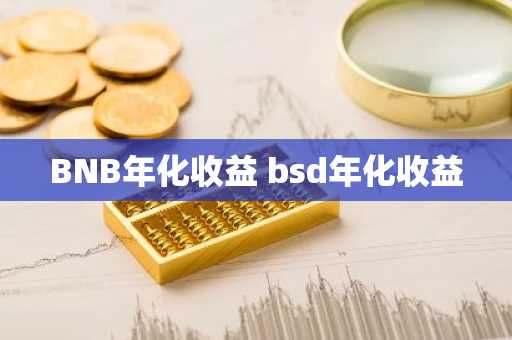 BNB年化收益 bsd年化收益
