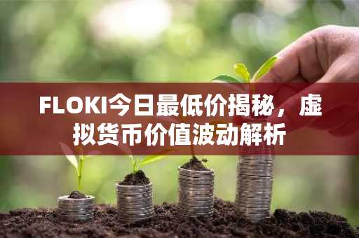 FLOKI今日最低价揭秘，虚拟货币价值波动解析