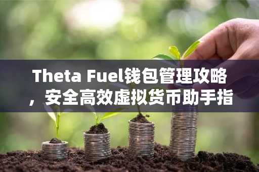 Theta Fuel钱包管理攻略，安全高效虚拟货币助手指南