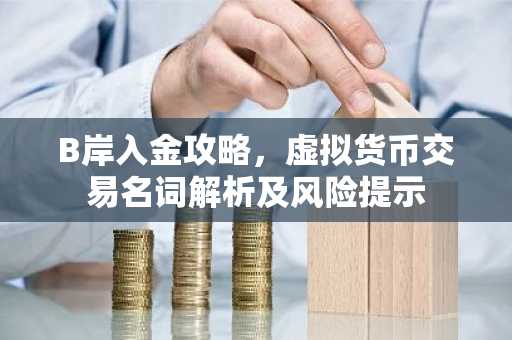 B岸入金攻略，虚拟货币交易名词解析及风险提示