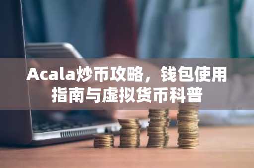 Acala炒币攻略，钱包使用指南与虚拟货币科普