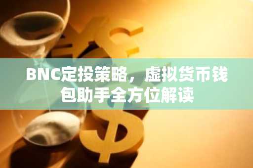 BNC定投策略，虚拟货币钱包助手全方位解读