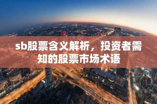 sb股票含义解析，投资者需知的股票市场术语