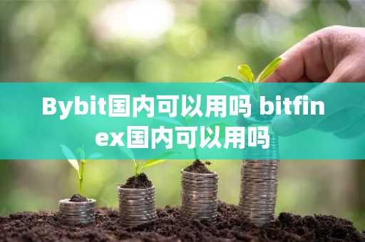 Bybit国内可以用吗 bitfinex国内可以用吗