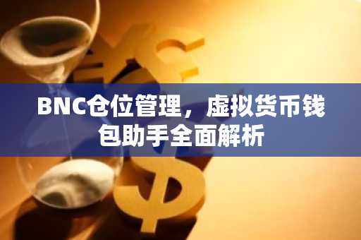 BNC仓位管理，虚拟货币钱包助手全面解析