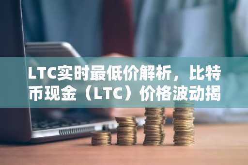 LTC实时最低价解析，比特币现金（LTC）价格波动揭秘
