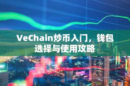 VeChain炒币入门，钱包选择与使用攻略