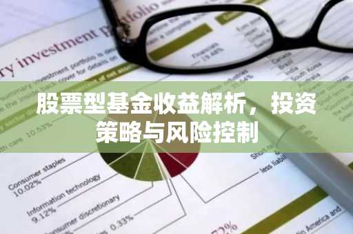 股票型基金收益解析，投资策略与风险控制