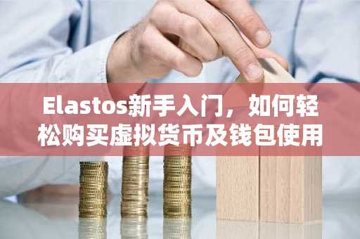 Elastos新手入门，如何轻松购买虚拟货币及钱包使用指南