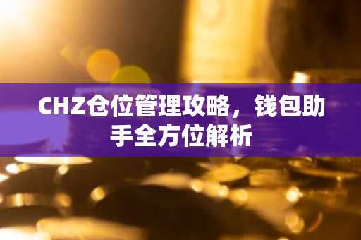 CHZ仓位管理攻略，钱包助手全方位解析