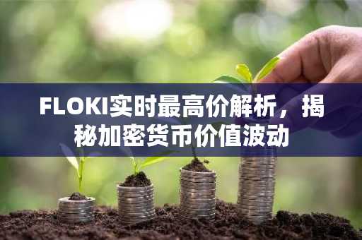 FLOKI实时最高价解析，揭秘加密货币价值波动