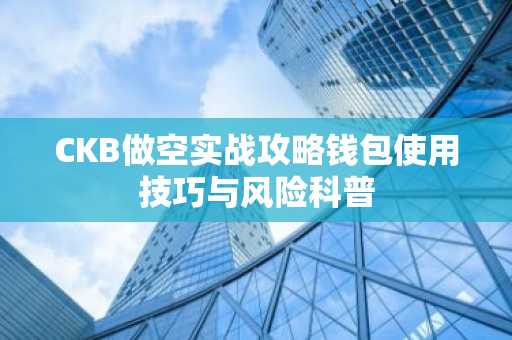 CKB做空实战攻略钱包使用技巧与风险科普