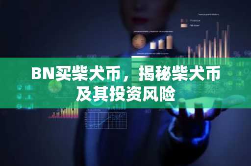 BN买柴犬币，揭秘柴犬币及其投资风险