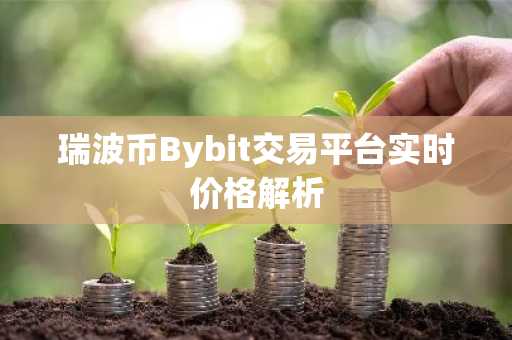 瑞波币Bybit交易平台实时价格解析