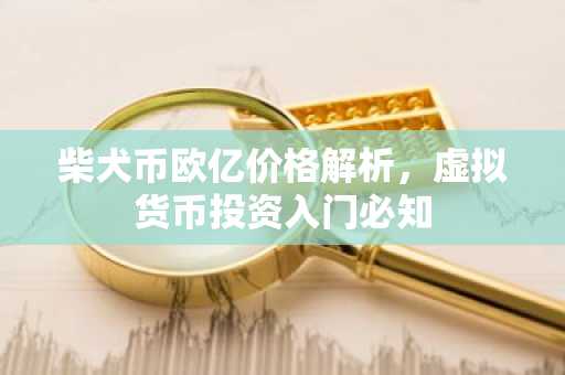 柴犬币欧亿价格解析，虚拟货币投资入门必知