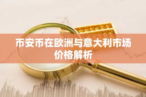 币安币在欧洲与意大利市场价格解析
