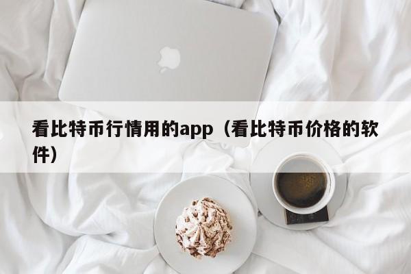 看比特币行情用的app（看比特币价格的软件）