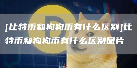 [比特币和狗狗币有什么区别]比特币和狗狗币有什么区别图片