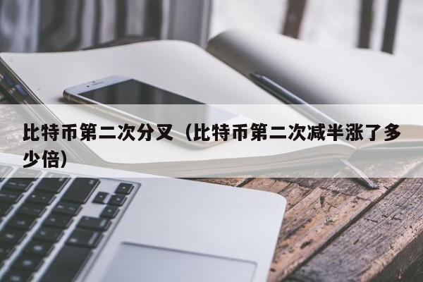比特币第二次分叉（比特币第二次减半涨了多少倍）