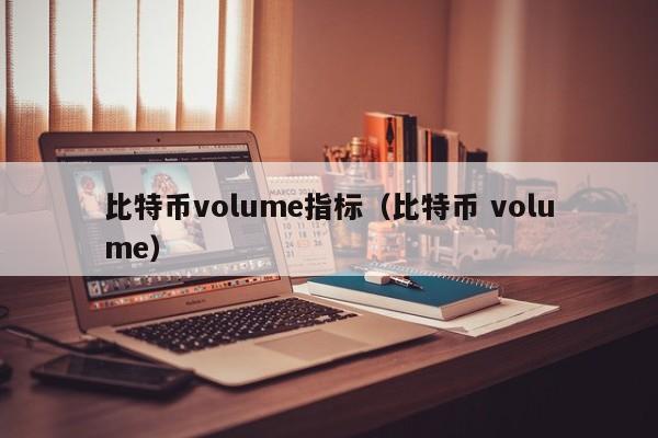 比特币volume指标（比特币 volume）