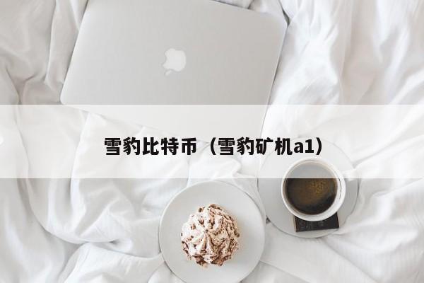 雪豹比特币（雪豹矿机a1）
