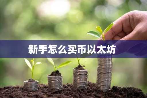 新手怎么买币以太坊