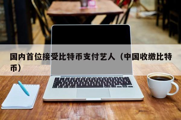 国内首位接受比特币支付艺人（中国收缴比特币）