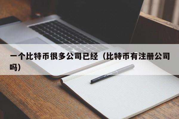 一个比特币很多公司已经（比特币有注册公司吗）
