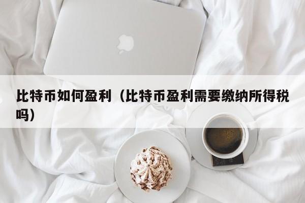 比特币如何盈利（比特币盈利需要缴纳所得税吗）