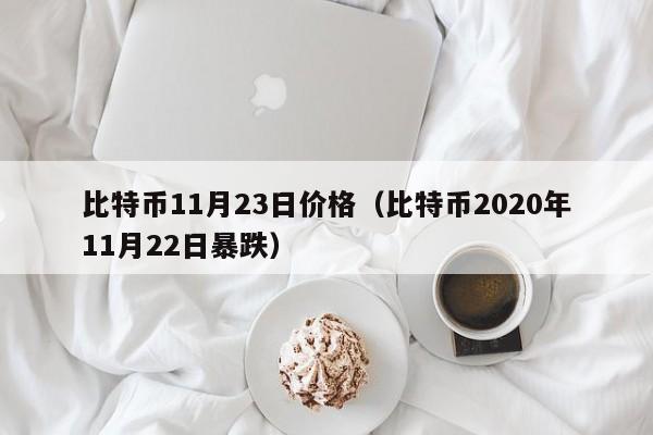 比特币11月23日价格（比特币2020年11月22日暴跌）