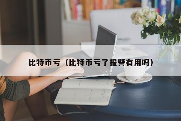 比特币亏（比特币亏了报警有用吗）