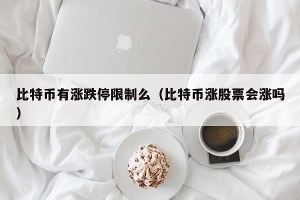 比特币有涨跌停限制么（比特币涨股票会涨吗）