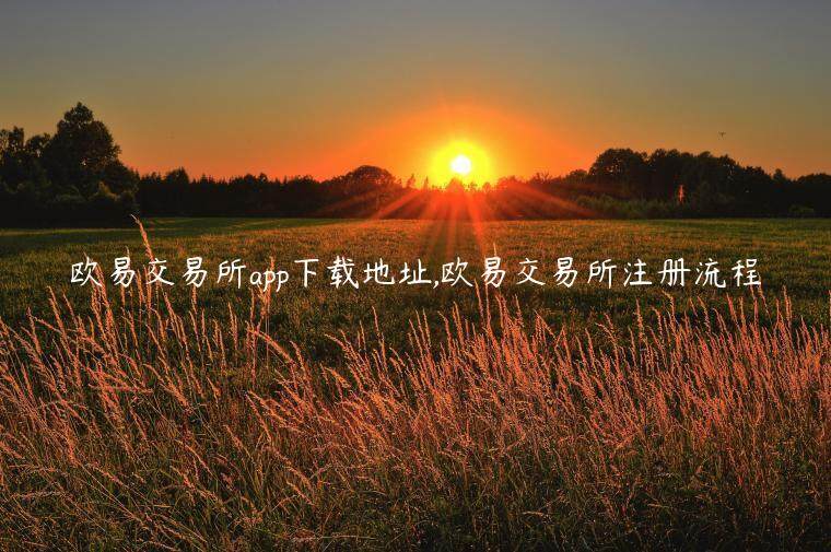 欧意易交易所app下载地址,欧意易交易所注册流程