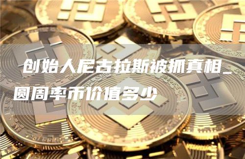 π创始人尼古拉斯被抓真相_圆周率币价值多少